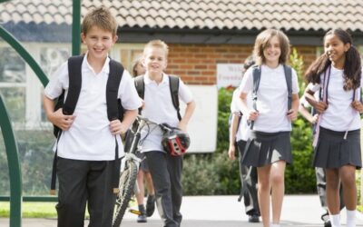 “Perché mio figlio non studia?” Cause psicologiche e come aiutarlo davvero